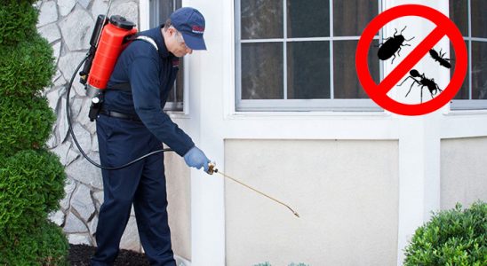Bozüyük Dezenfeksiyon böcek ilaçlama ve haşere kontrolü — ilaclama-tr.com
